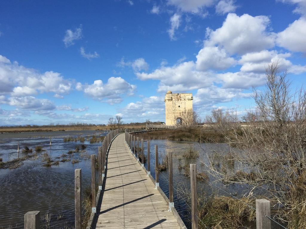 Villa Mas Viala Vauvert Esterno foto